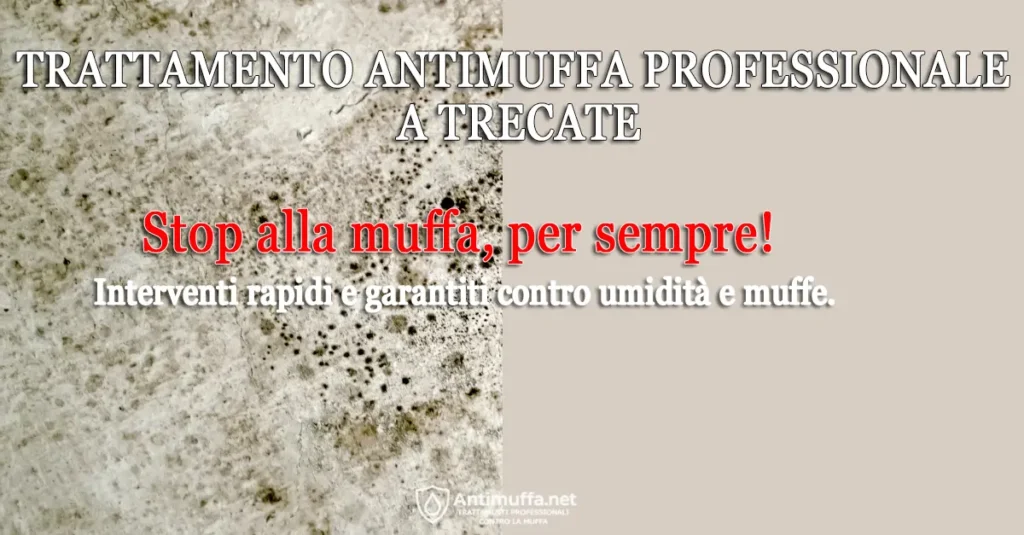 Parete con muffa a sinistra e parete pulita a destra, con scritta “Trattamento Antimuffa Professionale a Trecate”
